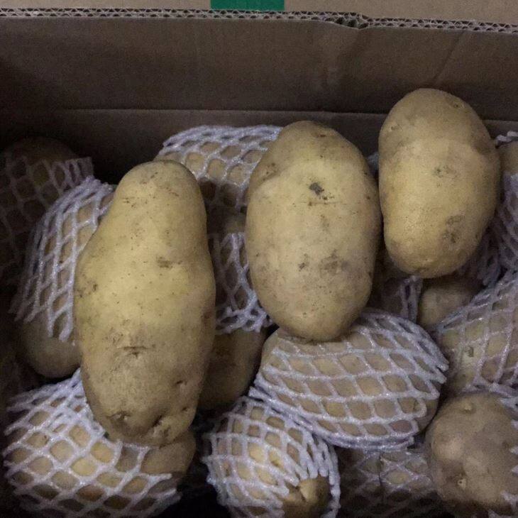 Holland Potatoes