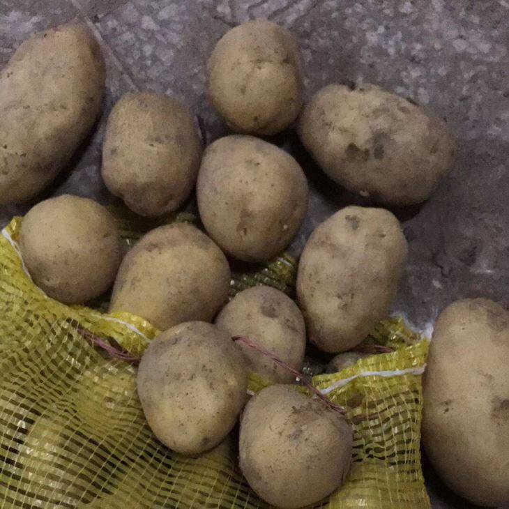 Holland Potatoes