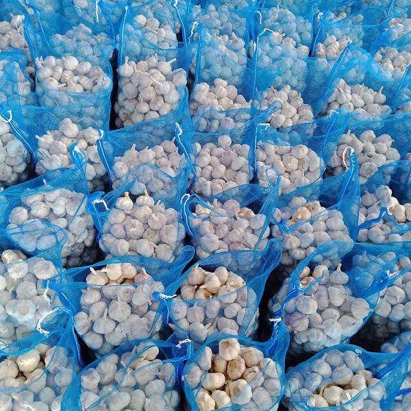 Loose Packing Normal White Garlic