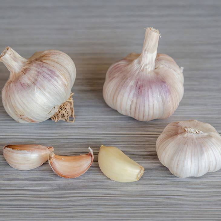 Loose Packing Purple Garlic