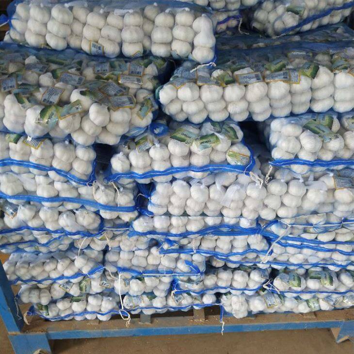 Mesh Bag Pure White Garlic