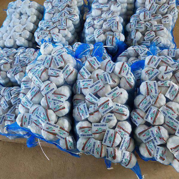 Mesh Bag Pure White Garlic