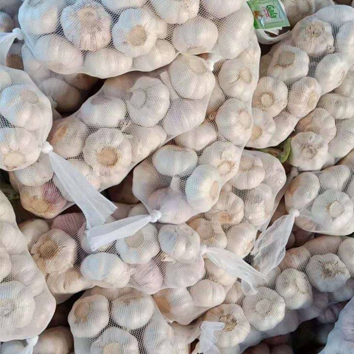 Mesh Bag Purple Garlic