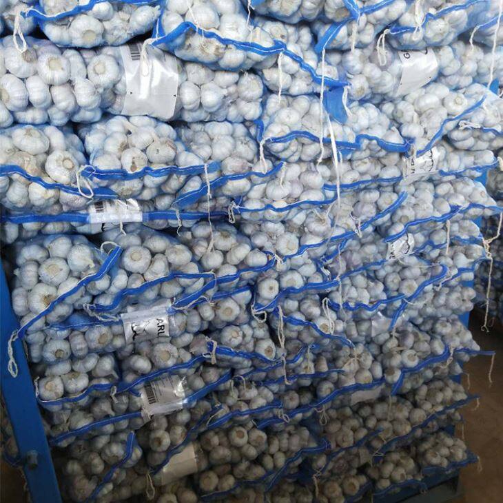 Mesh Bag Purple Garlic