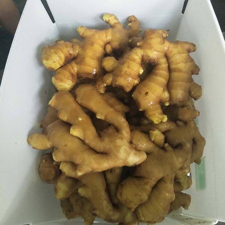 New Crop Fresh Ginger