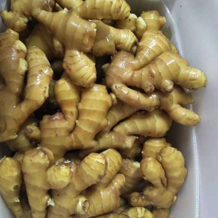 New Crop Fresh Ginger