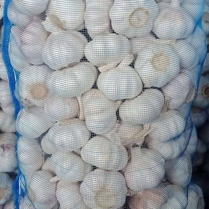 New Crop Normal White Garlic