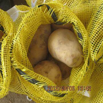 New Crop Potato
