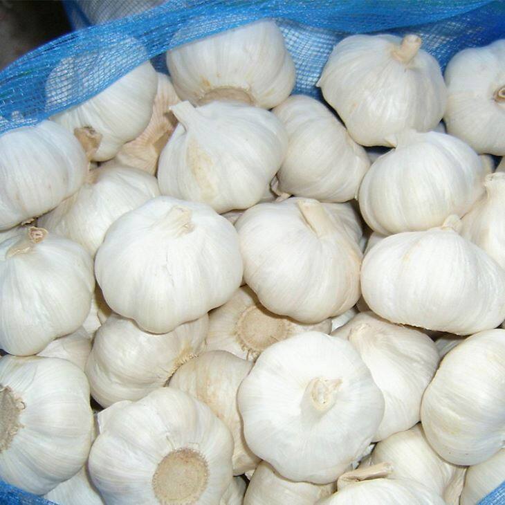 New Crop Pure White Garlic