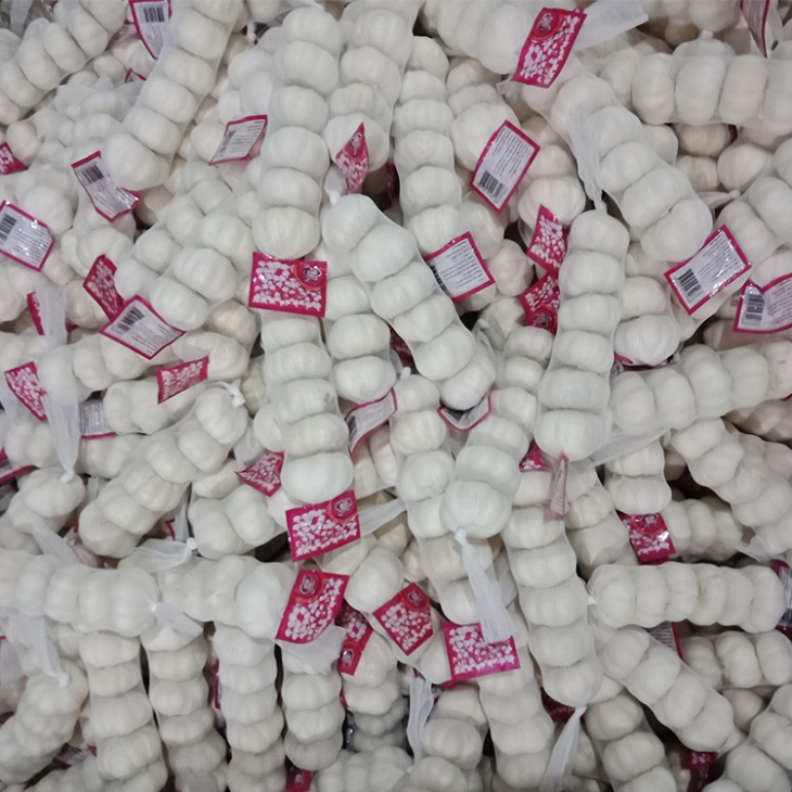 New Season Fresh White Garlic