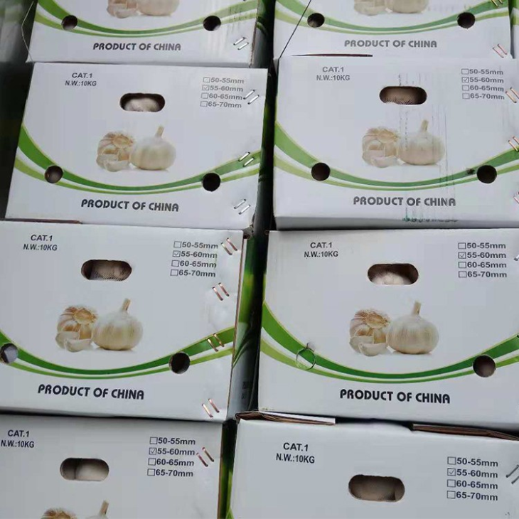 New Season Fresh White Garlic