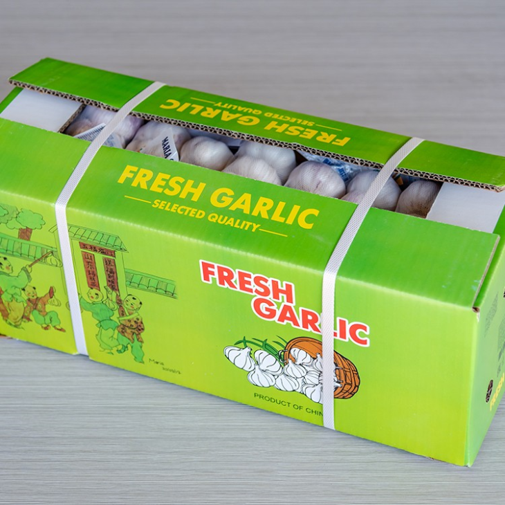 New Season White Garlic