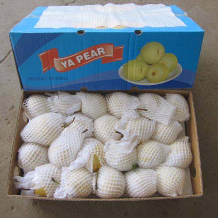 New Ya Pear