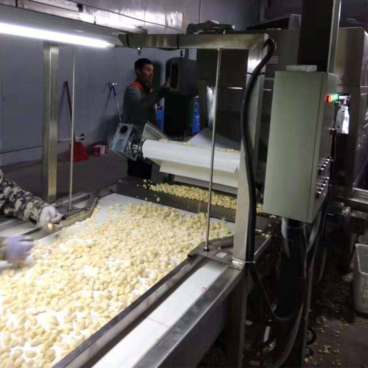 Packed Peeled Garlic