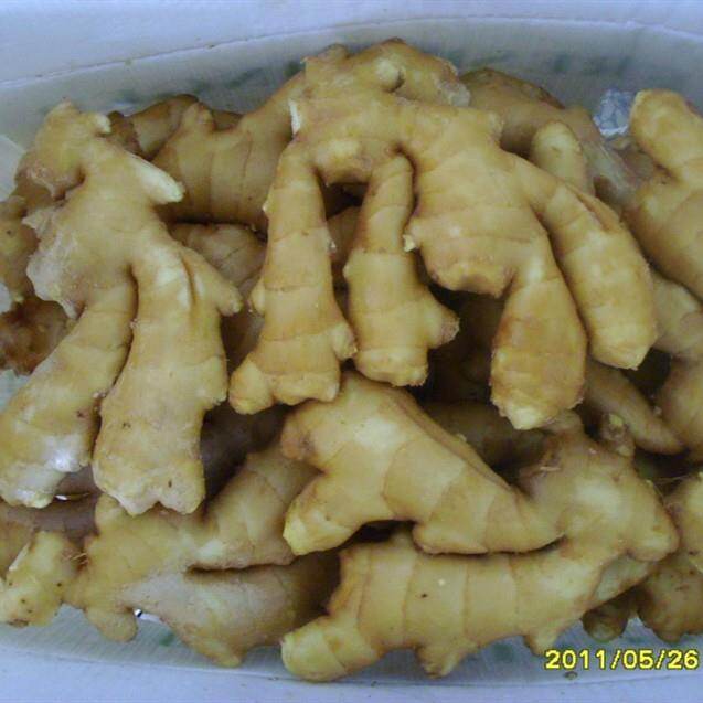 Quality Fresh Ginger