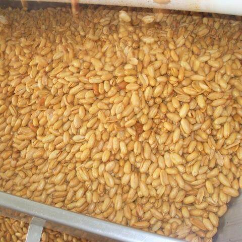 Roasted Peanut Kernels