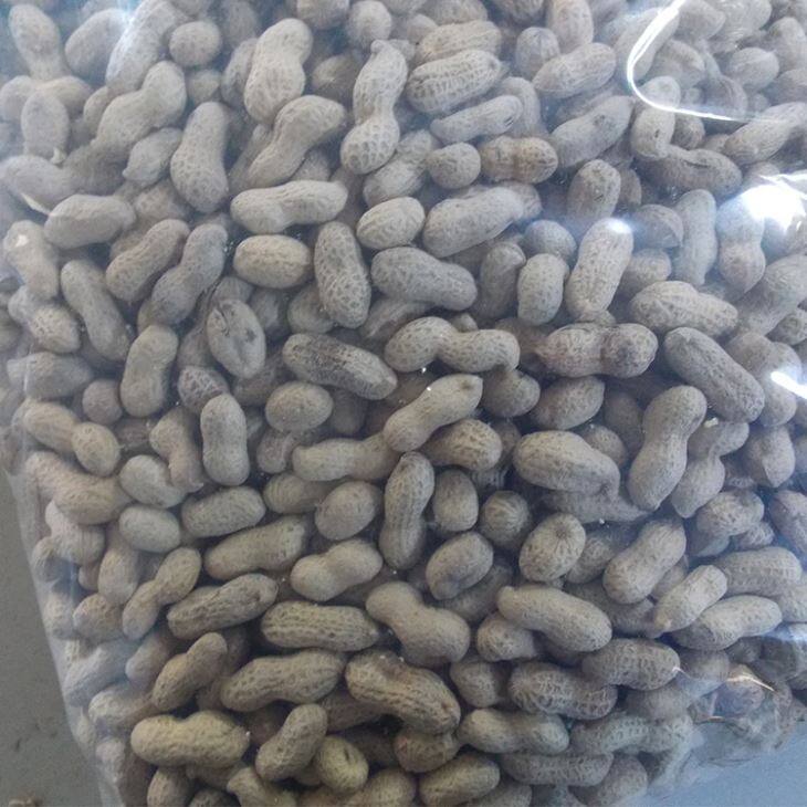 Roasted Peanuts In Shell