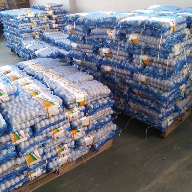 Small Package Pure White Garlic