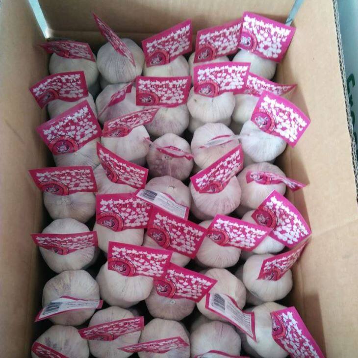 Small Packaging Purple Garlic