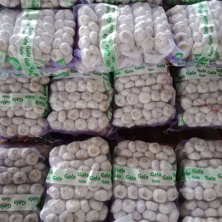 Small Packaging Purple Garlic