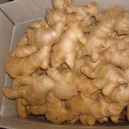 Изсушен на въздух Джинджър