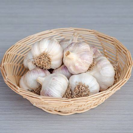 Брадат чесън