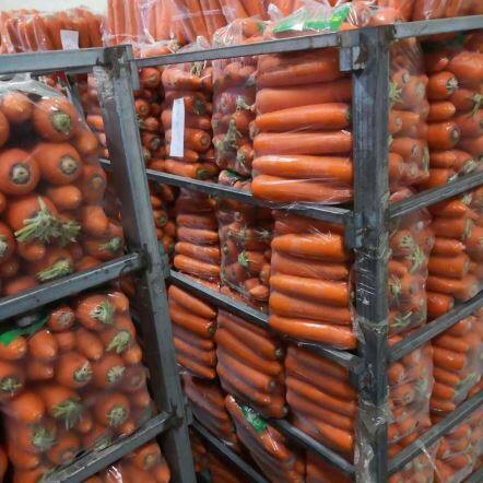 थोक ताजा गाजर