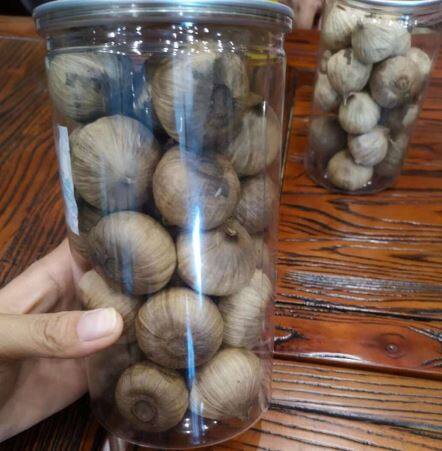 পাকা কালো রসুন