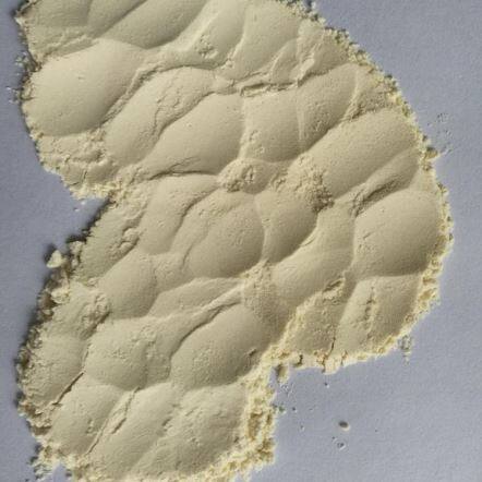 پودر سیر خشک شده