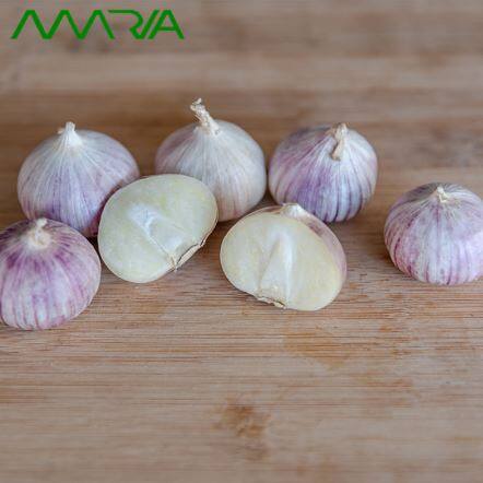 2021 Garlleg Unawd Ffres