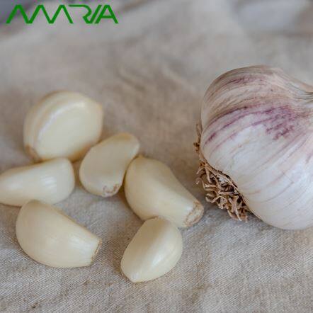 Свеж чесън в сезона