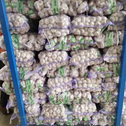 กระเทียมขาวสดธรรมดา