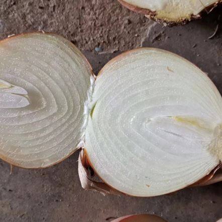 หัวหอมสด