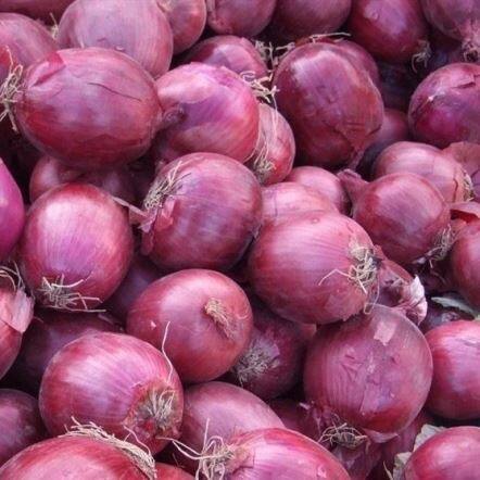 หัวหอมสีม่วงสด