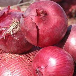 หัวหอมแดงสด