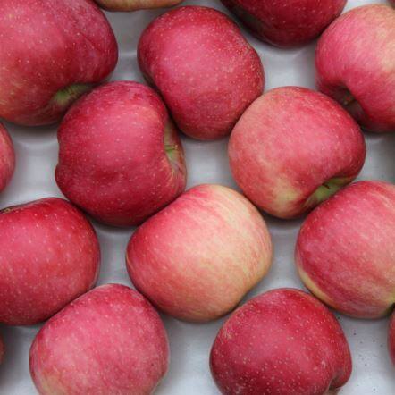 Manzana roja fresca de la estrella