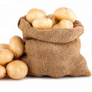 سیب زمینی هلند