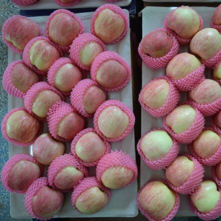 Uute põllukultuuride Apple