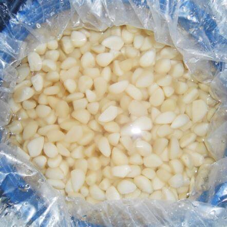 Ulas bawang putih jeruk