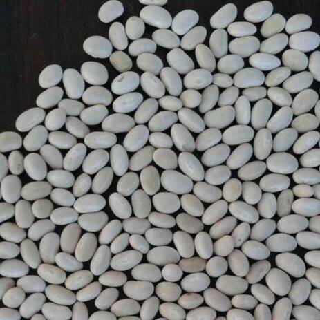 White Kidney Beans