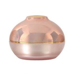 30G 50G Luxury Skincare Cosmetic Packaging Plastic Acrylic Cosmetic Jar