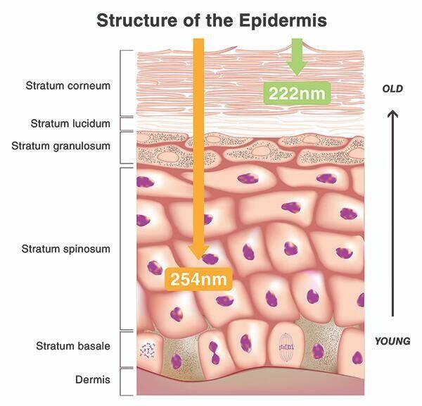 Far 222nm Uv Light Ultraviolet Uvc Portable Desk Lamp