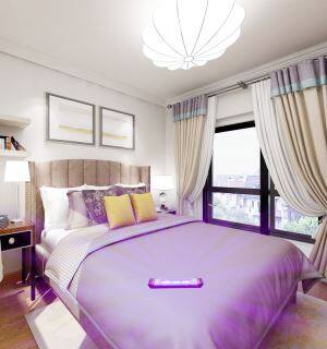 Hot Selling Hotel Hospital Without Mercury Uv Disinfection Lamp