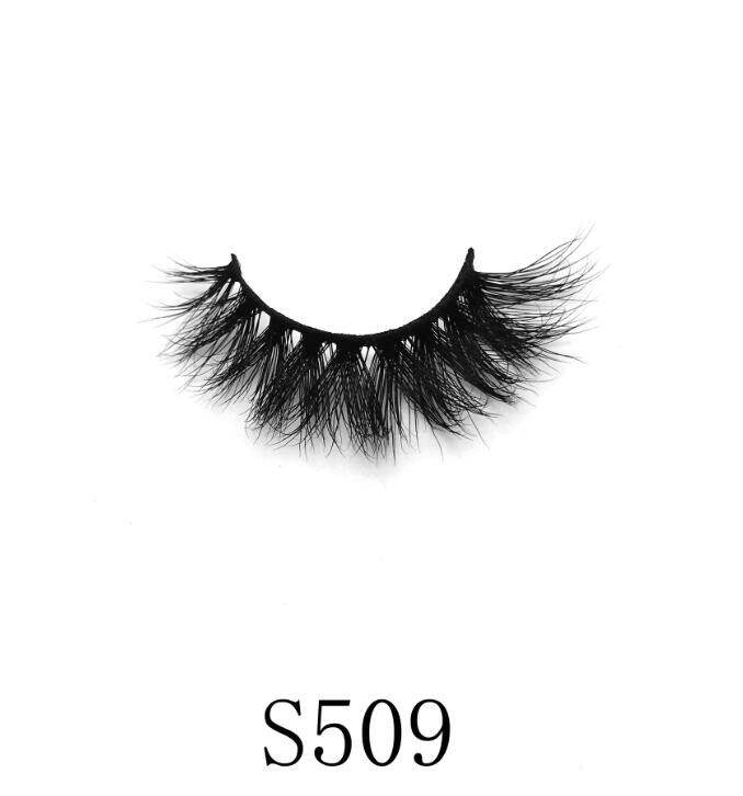 S509
