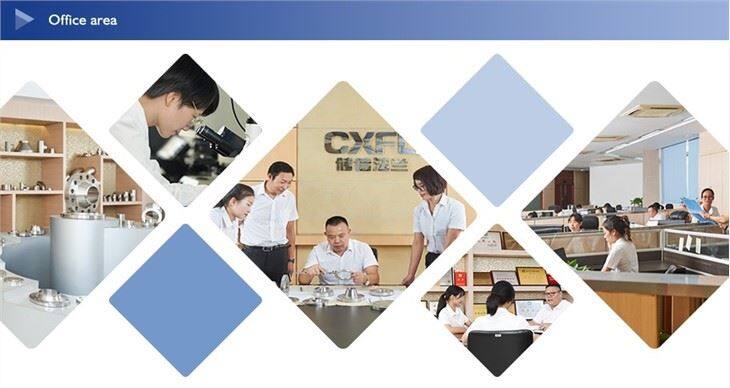 Stainless Steel 316 Flanges