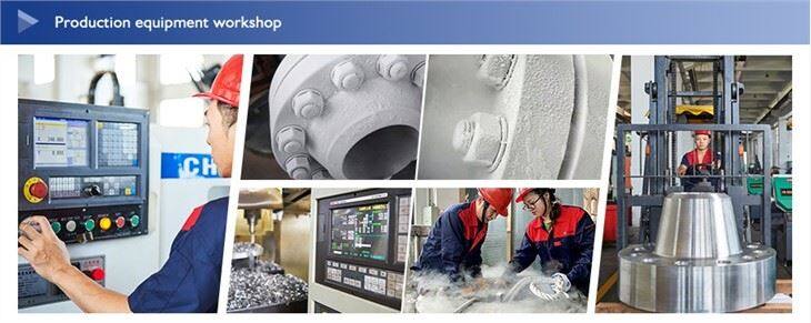 Stainless Steel Weld Neck Flange