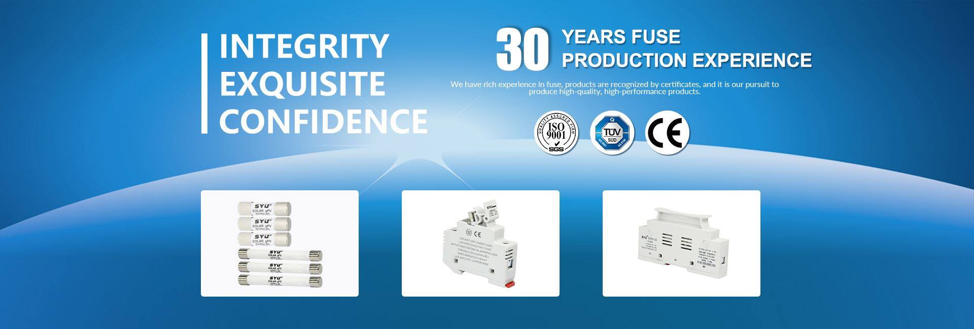 China Low Price house fuses types Factory Buy house fuses types Made