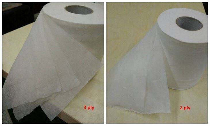2ply and 3ply(001)