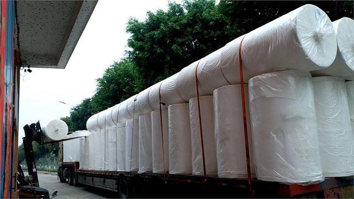 Mother roll tissue(001)