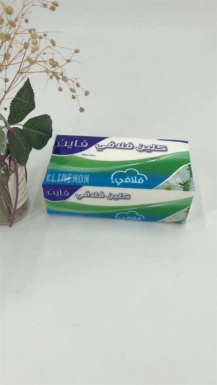 customized brand facial tissue with plastic bag(001)